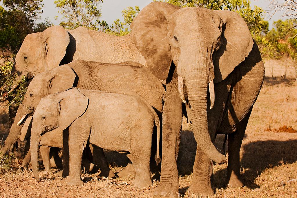 Kenya020