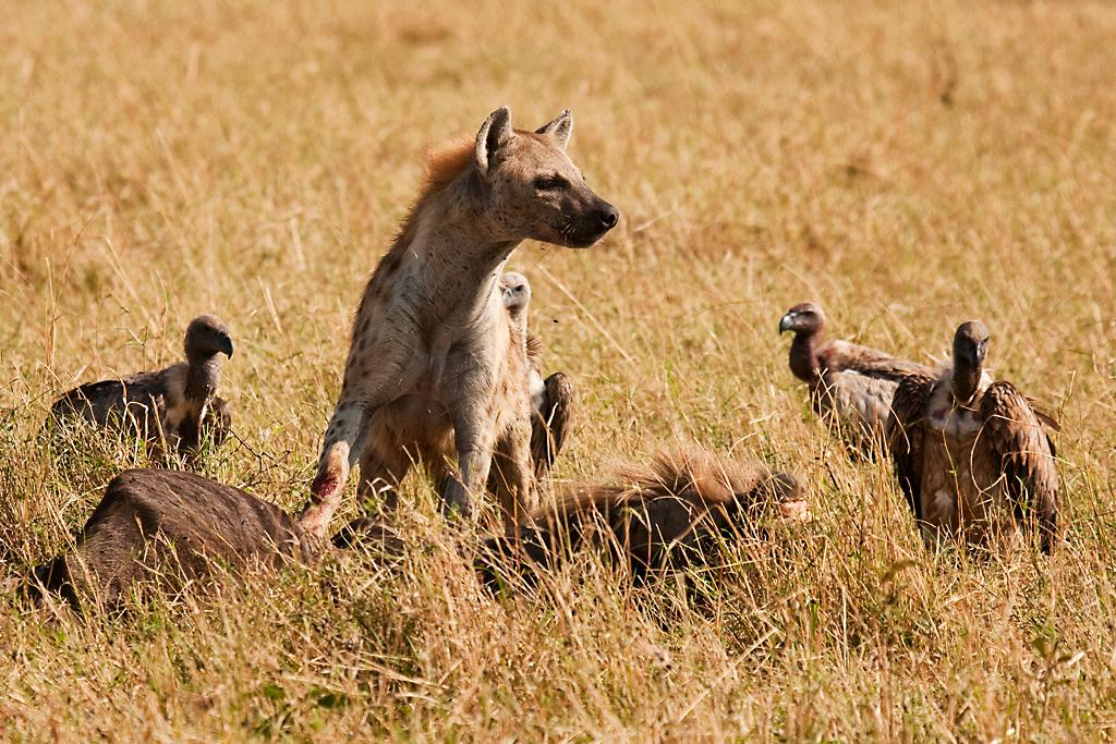 Kenya041
