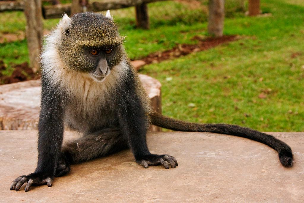 Kenya050