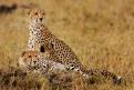 Kenya034
