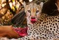 Kenya038