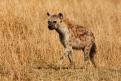 Kenya039