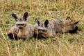 Kenya047