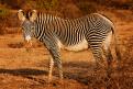 Kenya055