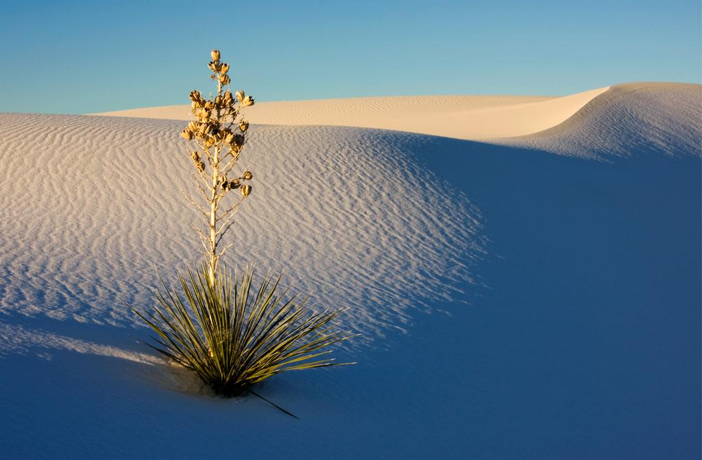 WhiteSands03