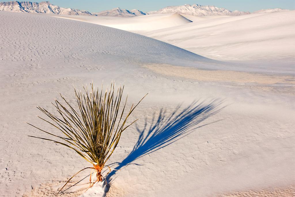 WhiteSands04