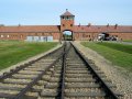 auschwitz56